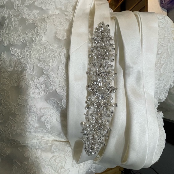 MAGGIE SOTTERO WEDDING DRESS - Picture 10 of 11